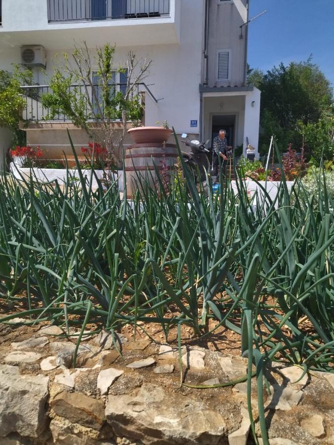 Apartment Marija Marina Εξωτερικό φωτογραφία